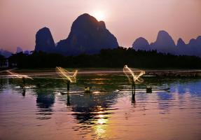 Li River Fishing in Morning